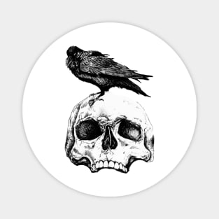 Skull raven head Magnet